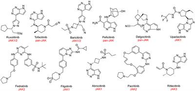 A hybrid energy-based and AI-based screening approach for the discovery of novel inhibitors of JAK3